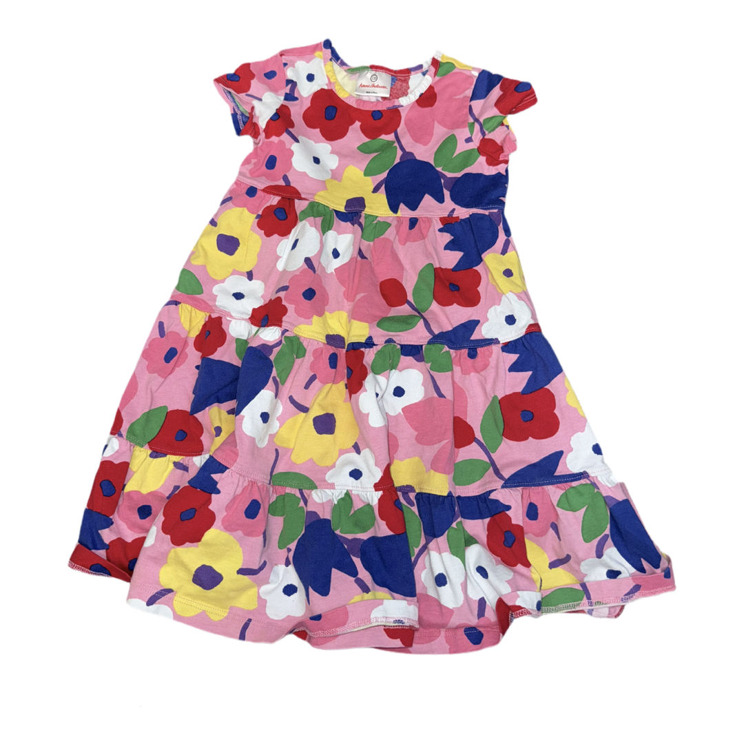 Dress by Hanna Andersson size 5