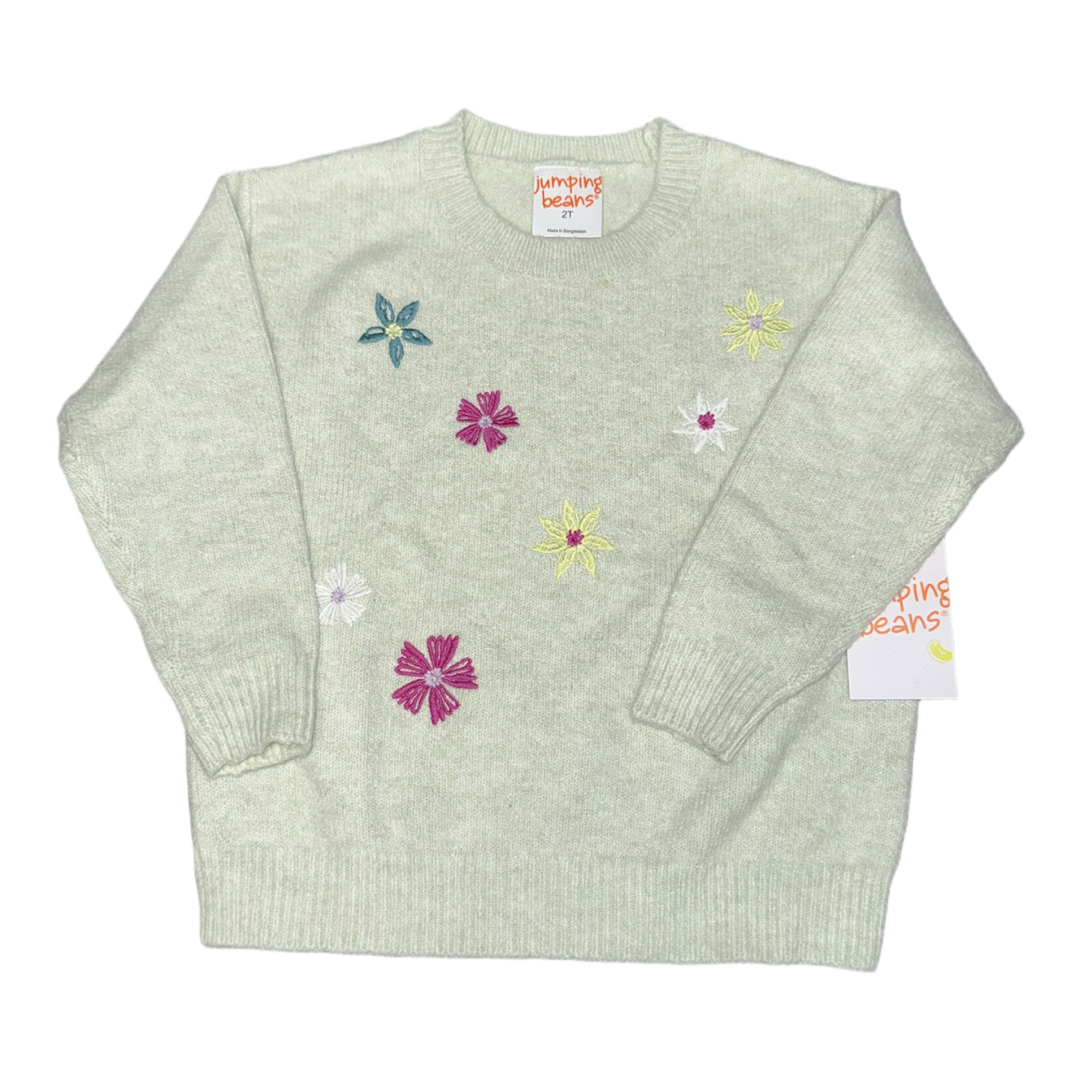 NWT Sweater by Jumping Beans size 2