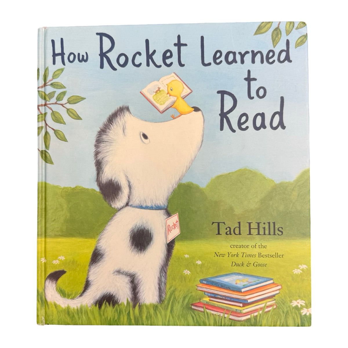 How Rocket Learned To Read book
