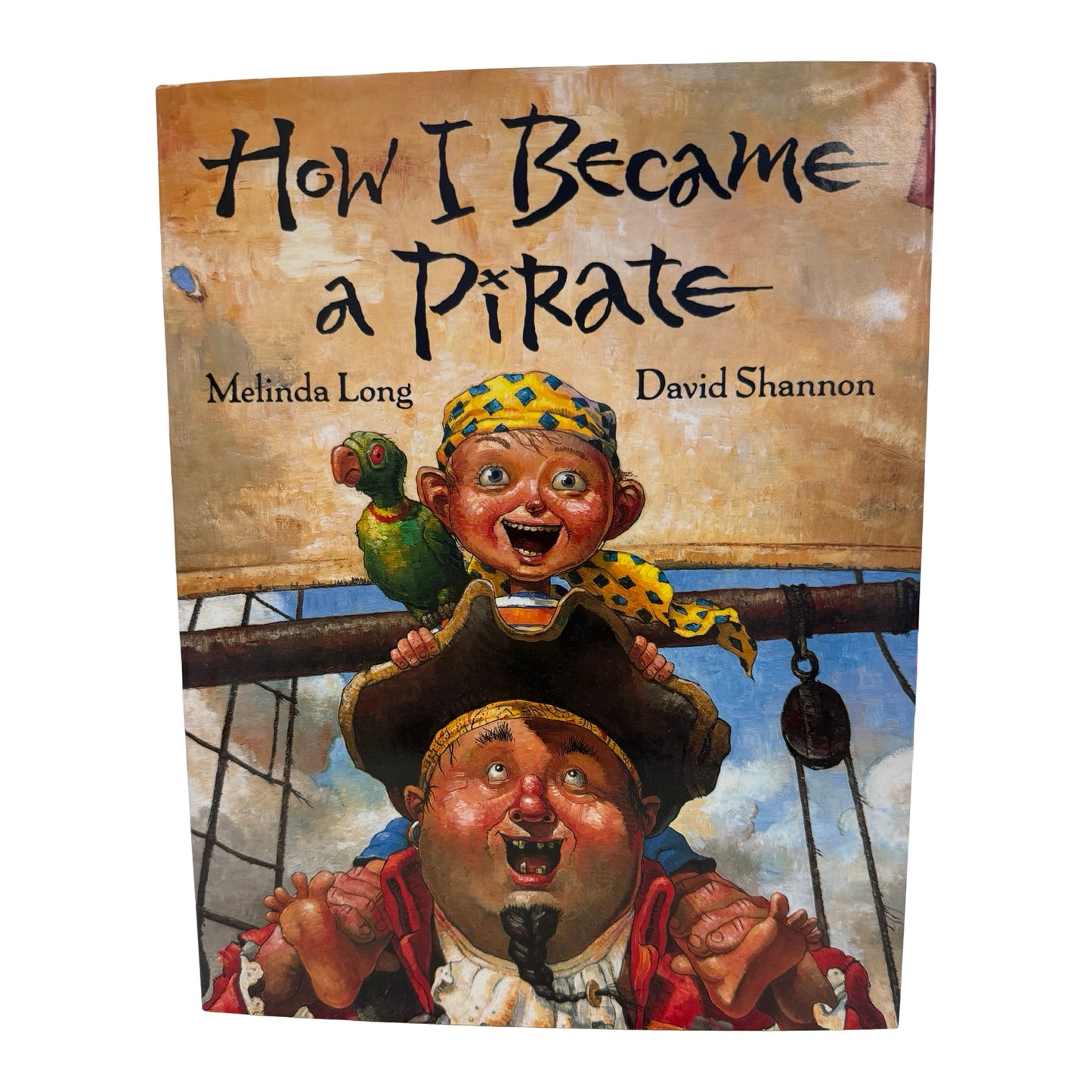 How I Became A Pirate book