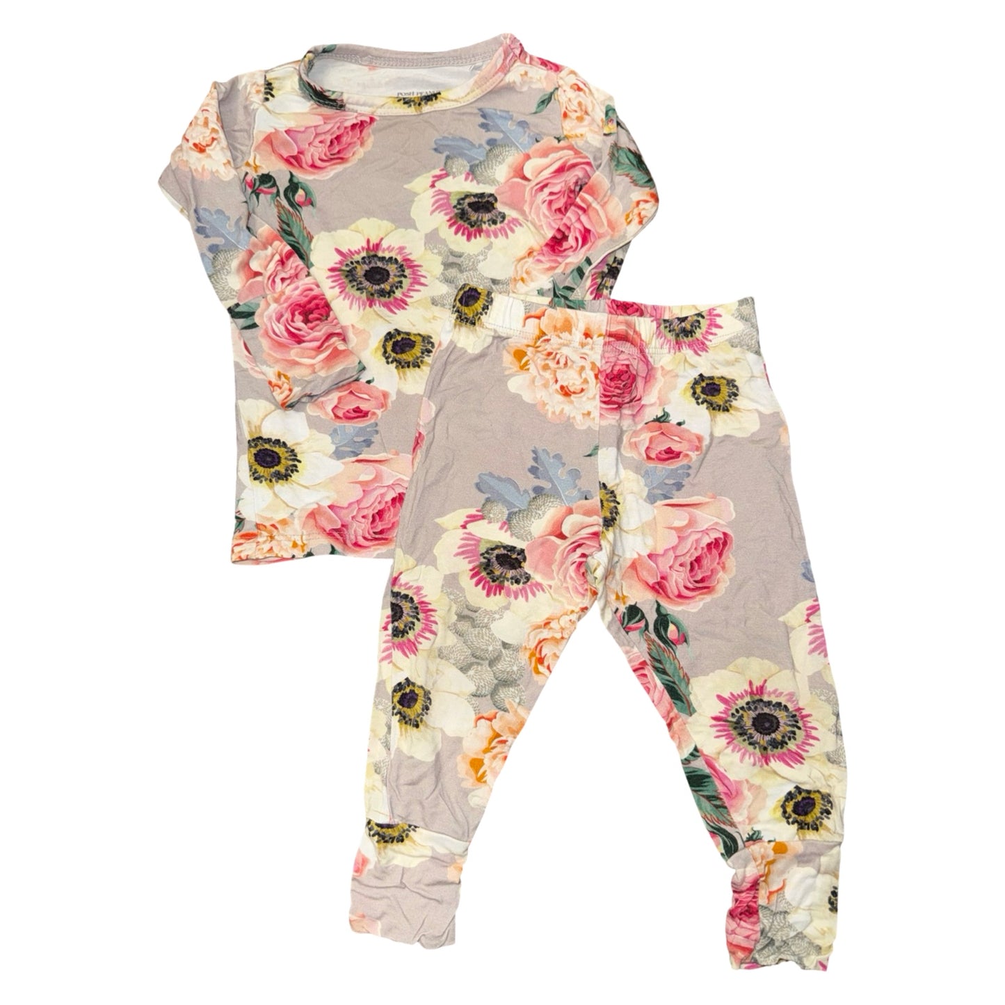2 Piece pajama set by Posh Peanut size 6-12m
