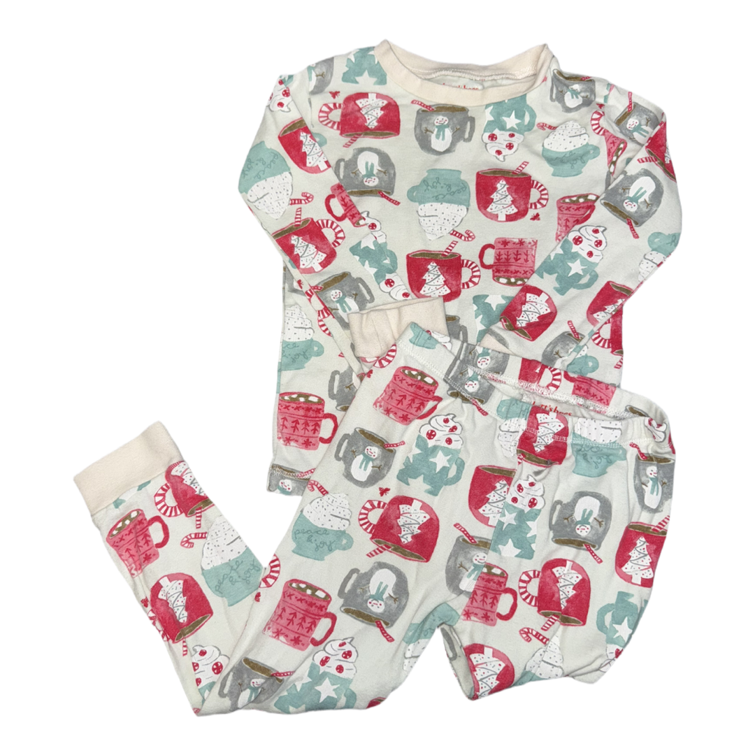 2 Piece holiday pajama set by Burts Bees size 3