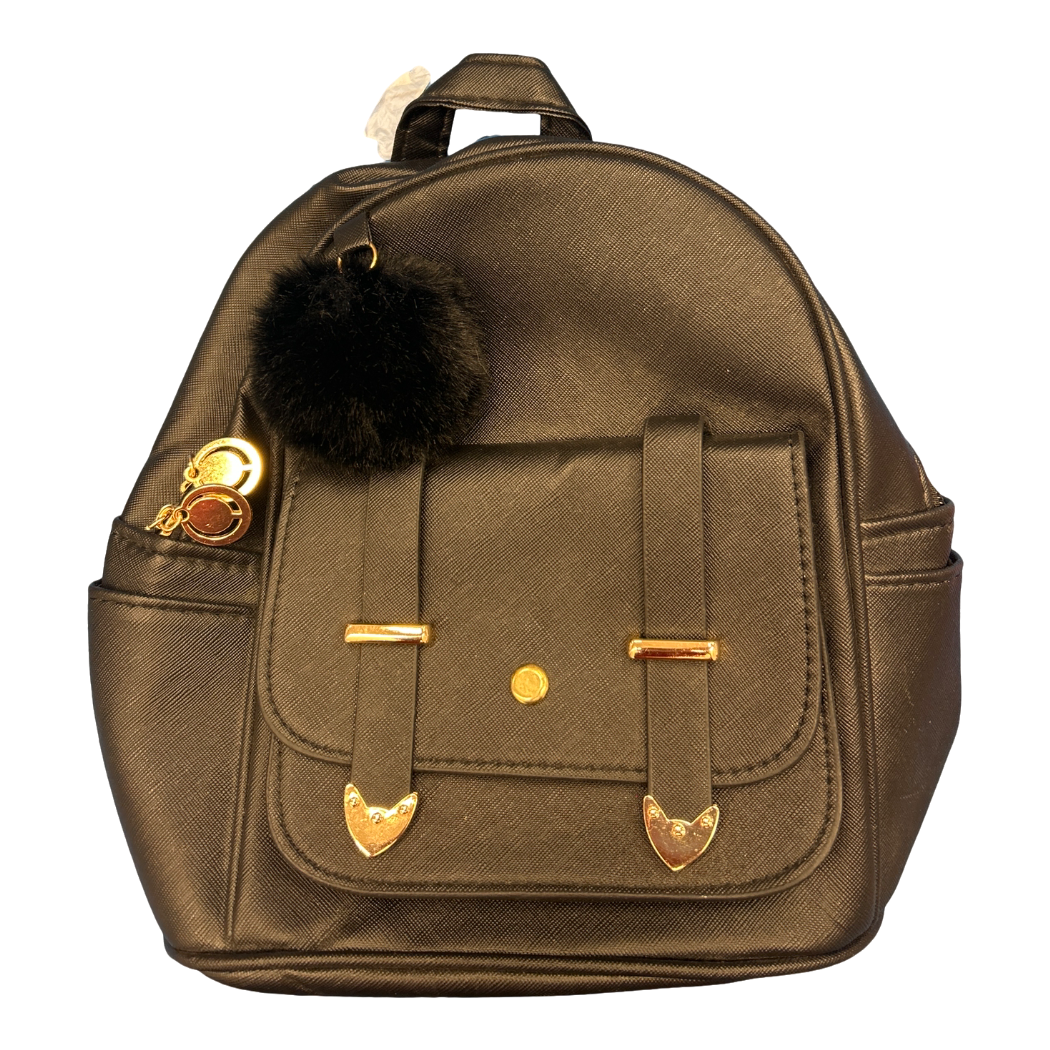 NWT Mini backpack