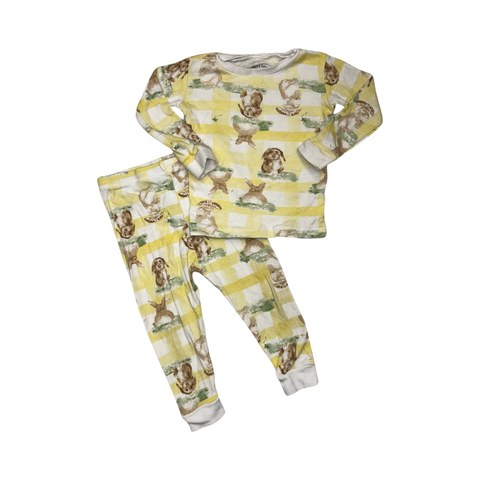 Two piece pajama set by Burts Bees size 4