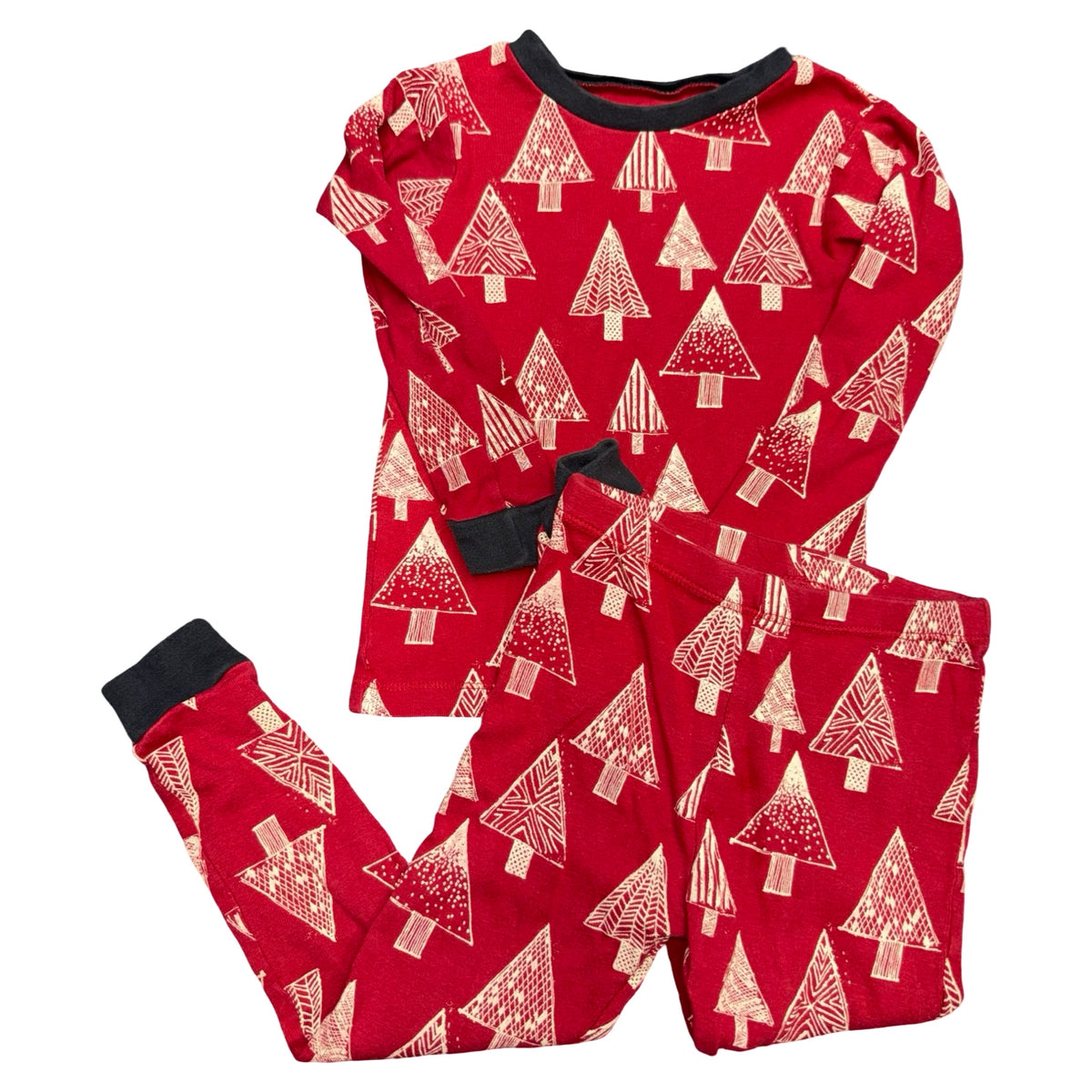 2 Piece holiday pajama set by Burts Bees size 4