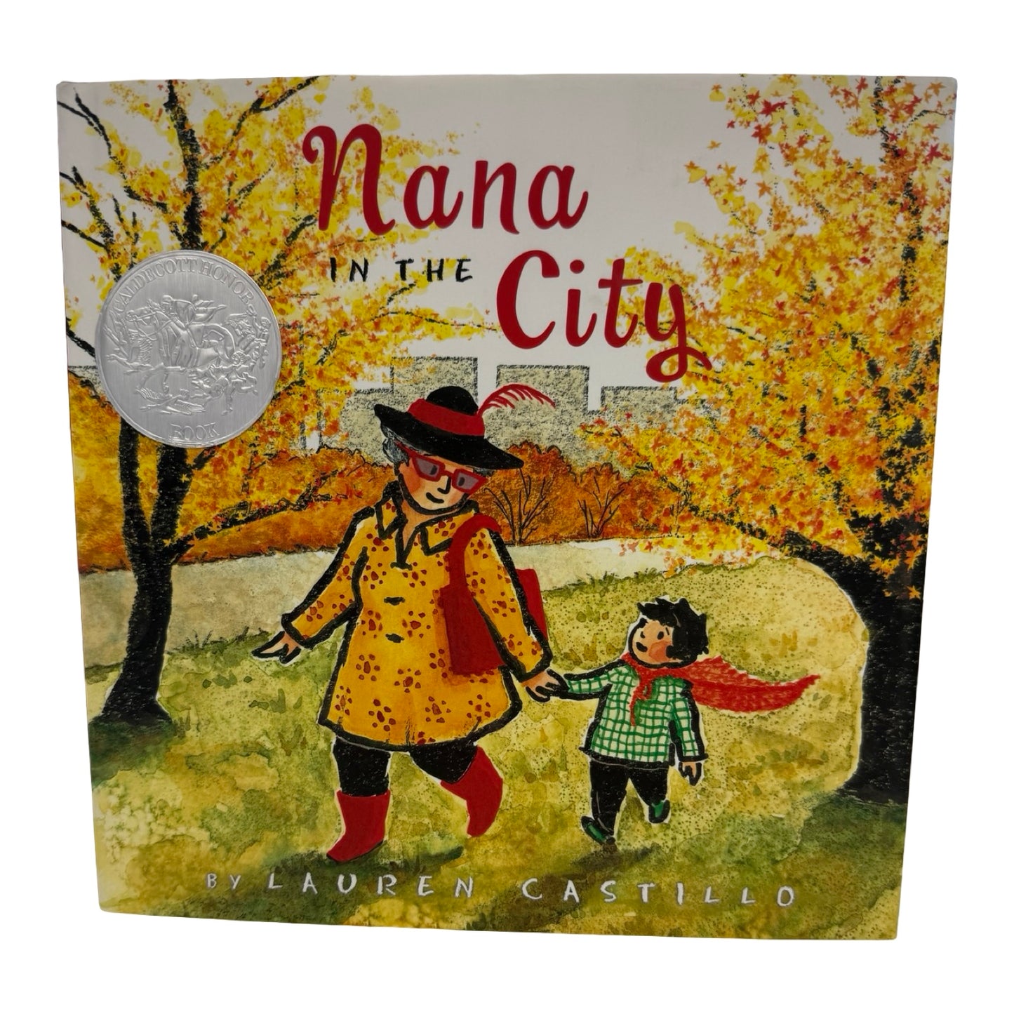 Nana In The City book