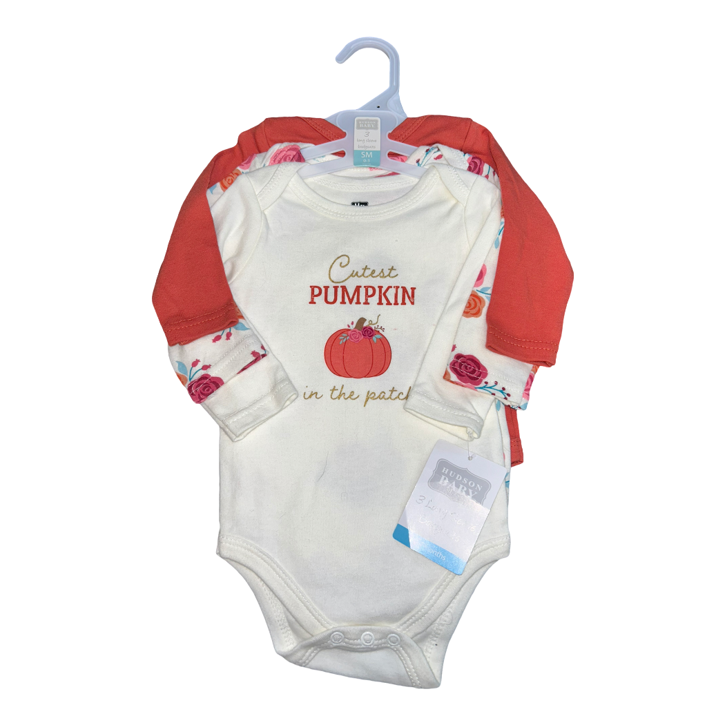 NWT 3 piece holiday onesie set by Hudson Baby size 0-3m