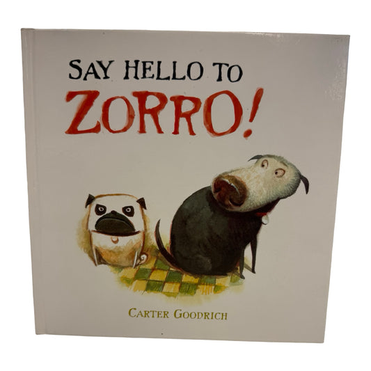 Say Hello To Zorro! book