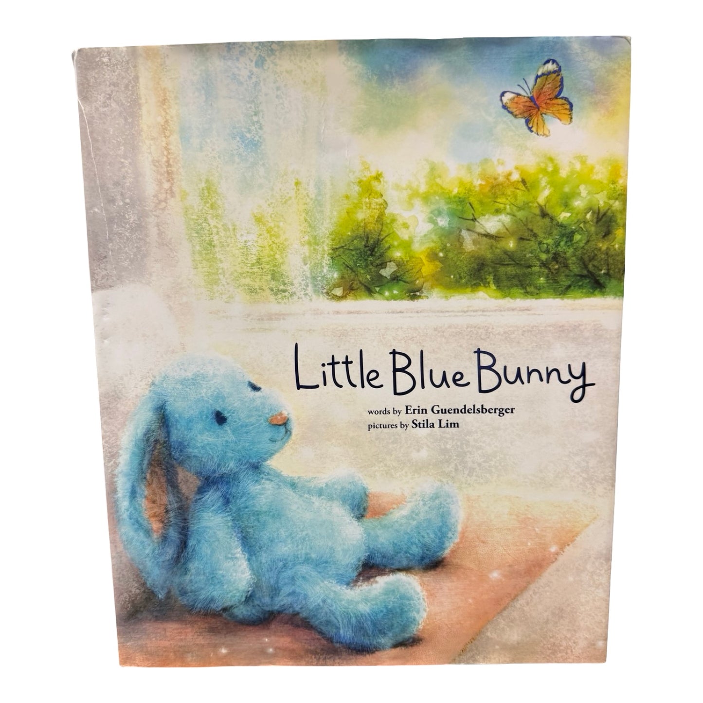 Little Blue Bunny book