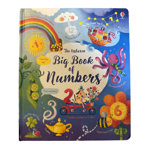 The Usborne Big Book of Numbers