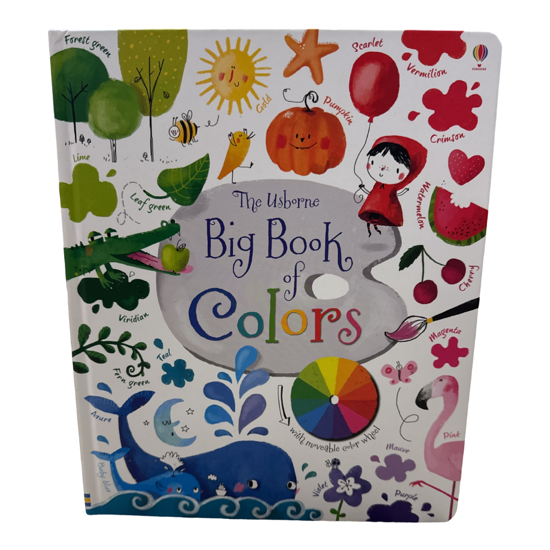 The Usborne Big Book of Colors book