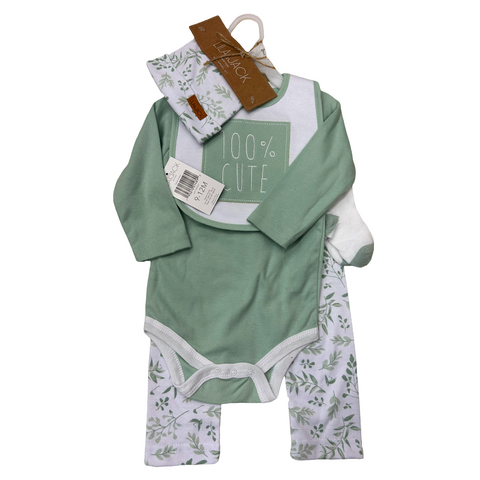 NWT 4 piece set by Lila and Jack size 9-12m