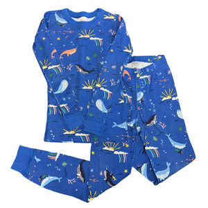 2 Piece pajama set by Hanna Andersson size 6-7