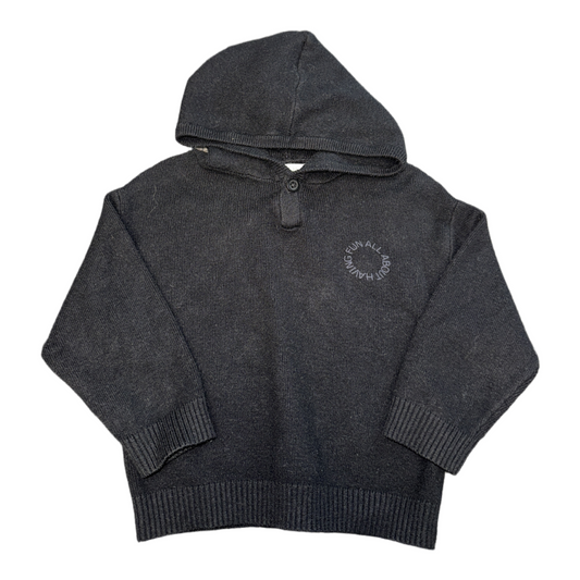 Hooded sweater by Zara size 12-18m