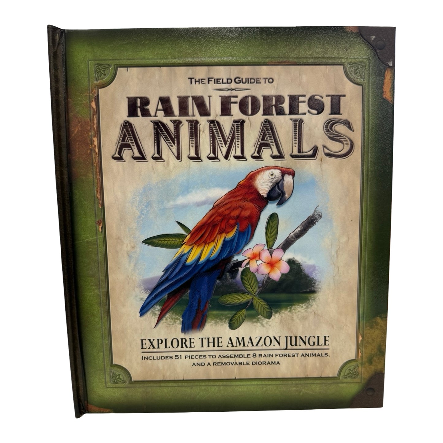 The Field Guide To Rain Forest Animals book