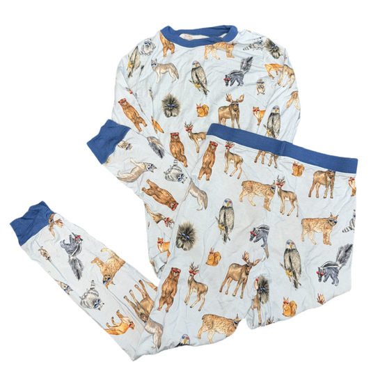 2 Piece pajama set by Little Crowns Capes size 6