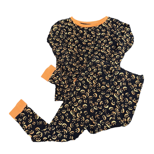 2 Piece holiday pajama set by Burts Bees size 4