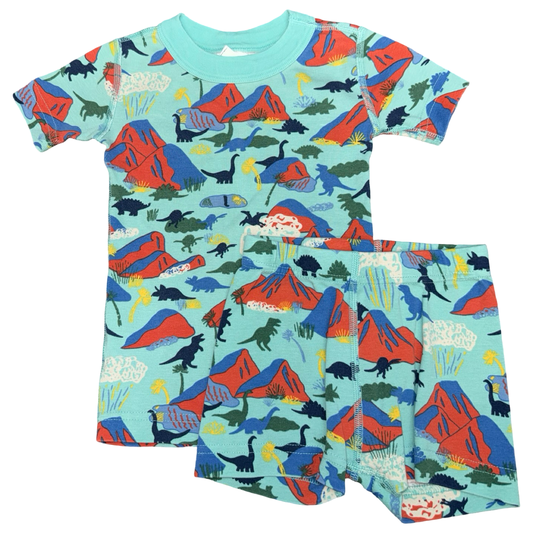 2 Piece set by Hanna Andersson size 3