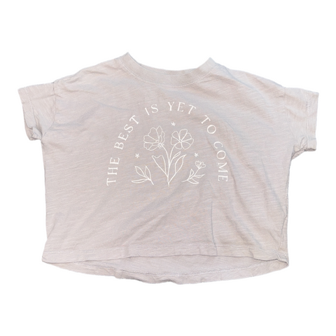 Short sleeve by Rylee+Crew size 2-3