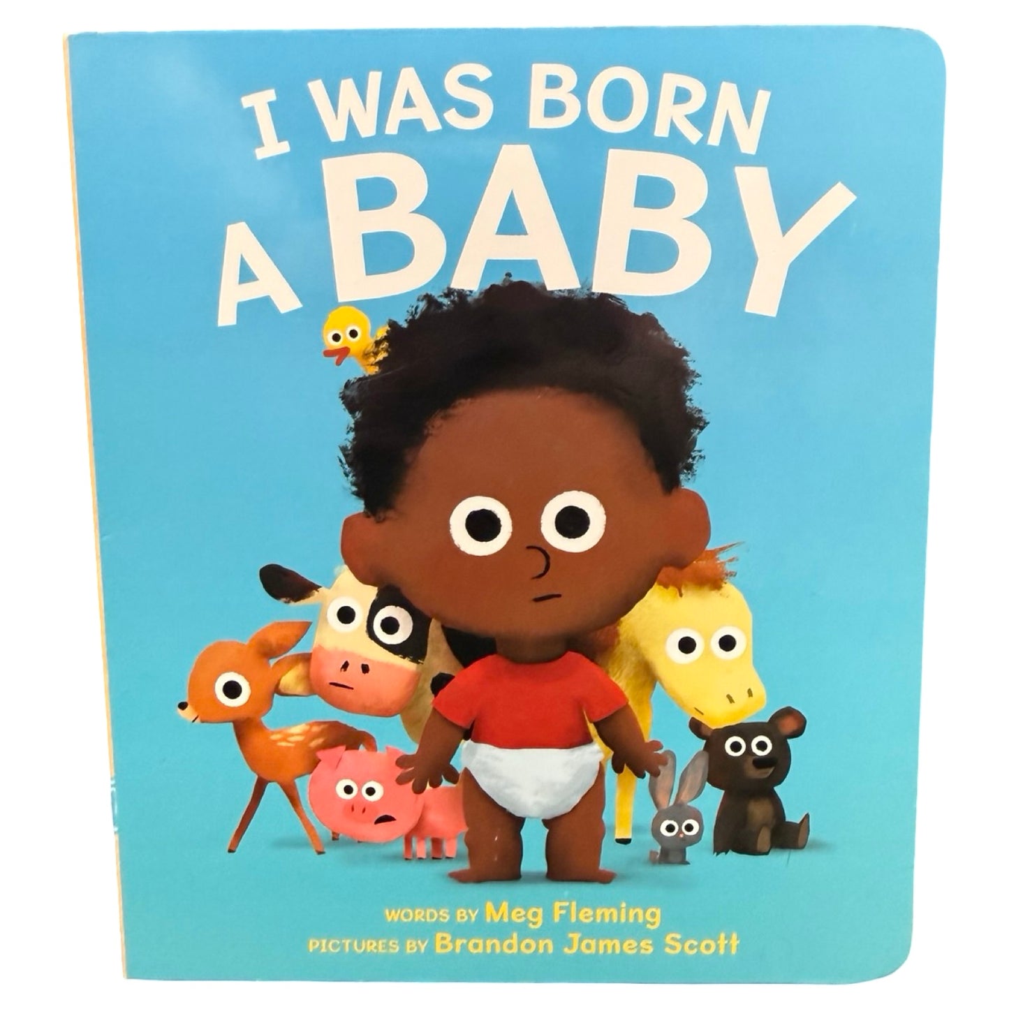 I Was Born A Baby board book