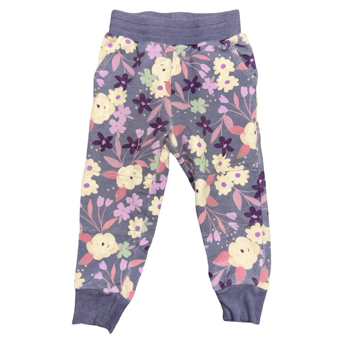 Sweatpants by Little Sleepies Play size 2