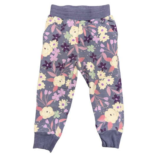 Sweatpants by Little Sleepies Play size 2