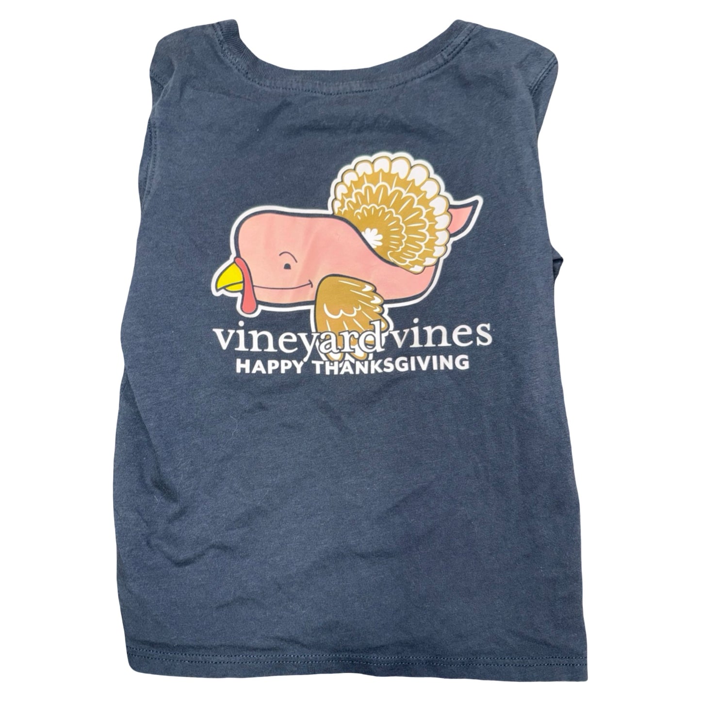 Thanksgiving long sleeve by Vineyard Vines size 3