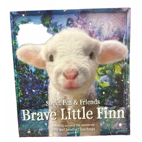 Brave Little Finn book