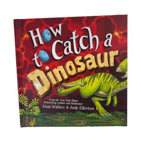 How to Catch a Dinosaur book